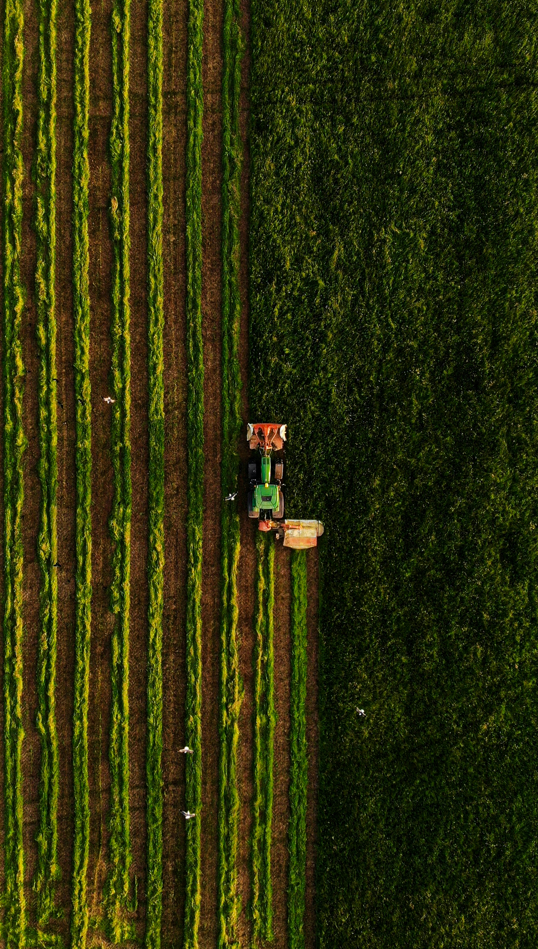 Aerial view of expansive farmland with green crops