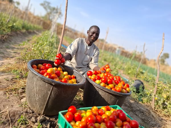 Farmer celebrating bountiful harvest