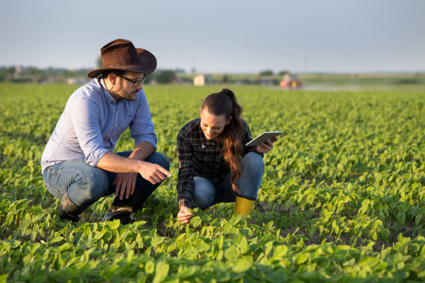 Operator assisting farmer with mobile app