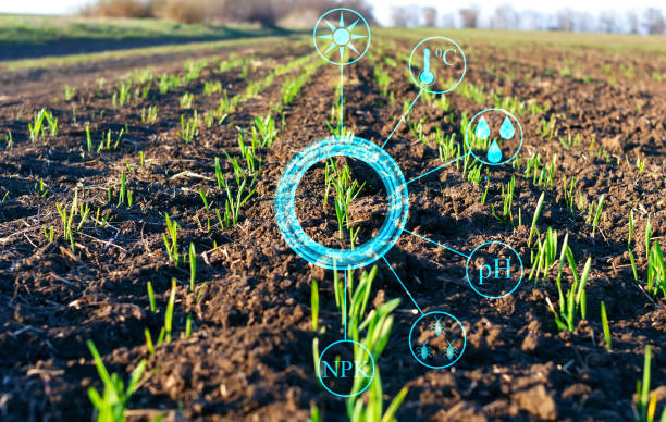 Soil with sensor installed showing detailed view of the probe in the ground